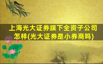 上海光大证券旗下全资子公司怎样(光大证券是小券商吗)-图1