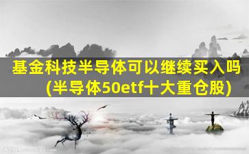 基金科技半导体可以继续买入吗(半导体50etf十大重仓股)-图1