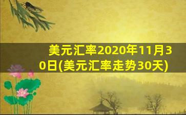 美元汇率2020年11月30日(美元汇率走势30天)-图1