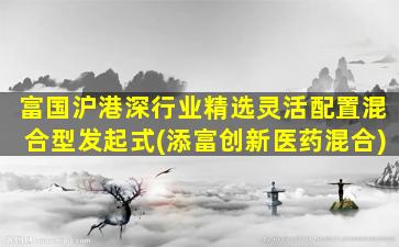 富国沪港深行业精选灵活配置混合型发起式(添富创新医药混合)-图1