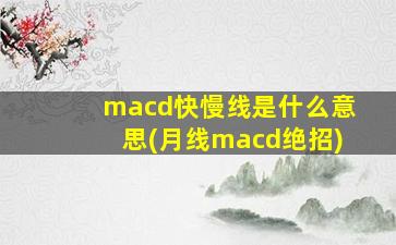 macd快慢线是什么意思(月线macd绝招)-图1