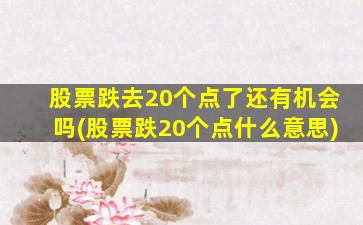 股票跌去20个点了还有机会吗(股票跌20个点什么意思)-图1