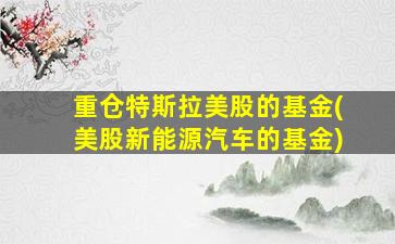 重仓特斯拉美股的基金(美股新能源汽车的基金)-图1