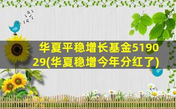 华夏平稳增长基金519029(华夏稳增今年分红了)-图1