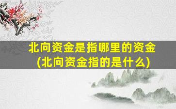 北向资金是指哪里的资金(北向资金指的是什么)-图1