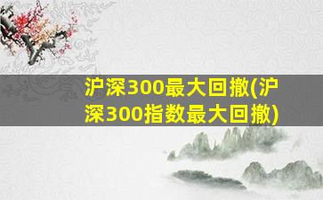 沪深300最大回撤(沪深300指数最大回撤)-图1