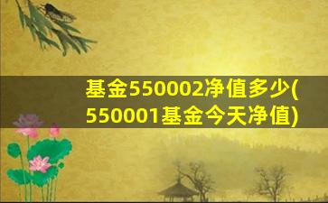 基金550002净值多少(550001基金今天净值)-图1