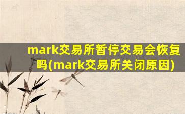 mark交易所暂停交易会恢复吗(mark交易所关闭原因)-图1