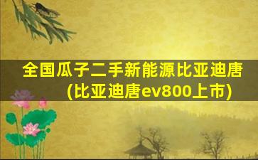 全国瓜子二手新能源比亚迪唐(比亚迪唐ev800上市)-图1