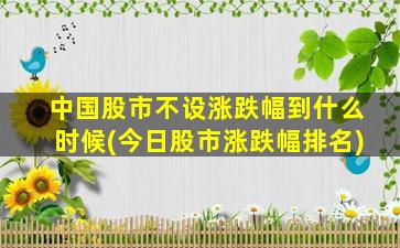 中国股市不设涨跌幅到什么时候(今日股市涨跌幅排名)-图1