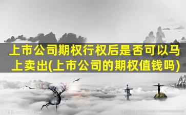 上市公司期权行权后是否可以马上卖出(上市公司的期权值钱吗)-图1