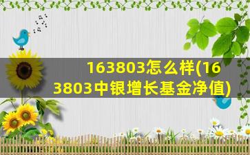 163803怎么样(163803中银增长基金净值)-图1