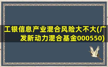 工银信息产业混合风险大不大(广发新动力混合基金000550)-图1