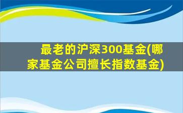 最老的沪深300基金(哪家基金公司擅长指数基金)-图1