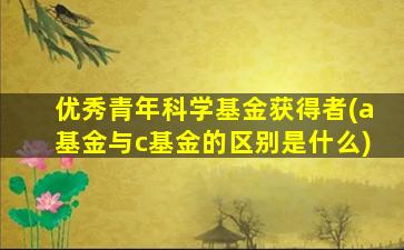 优秀青年科学基金获得者(a基金与c基金的区别是什么)-图1