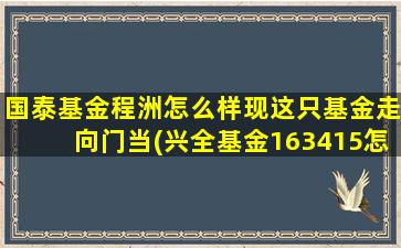 国泰基金程洲怎么样现这只基金走向门当(兴全基金163415怎么样)-图1