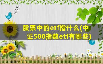 股票中的etf指什么(中证500指数etf有哪些)-图1