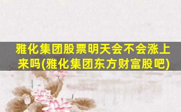 雅化集团股票明天会不会涨上来吗(雅化集团东方财富股吧)-图1