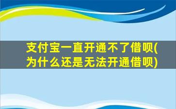 支付宝一直开通不了借呗(为什么还是无法开通借呗)-图1