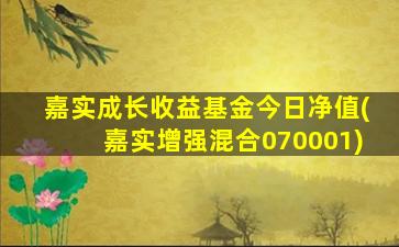 嘉实成长收益基金今日净值(嘉实增强混合070001)-图1