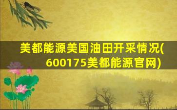 美都能源美国油田开采情况(600175美都能源官网)-图1