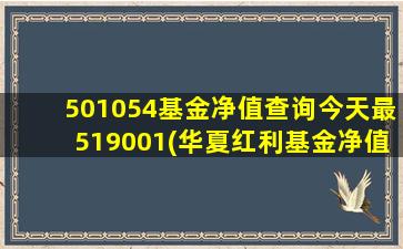 501054基金净值查询今天最519001(华夏红利基金净值)-图1