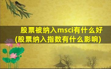 股票被纳入msci有什么好(股票纳入指数有什么影响)-图1