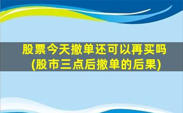 股票今天撤单还可以再买吗(股市三点后撤单的后果)-图1