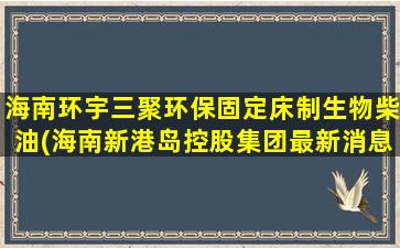 海南环宇三聚环保固定床制生物柴油(海南新港岛控股集团最新消息)-图1