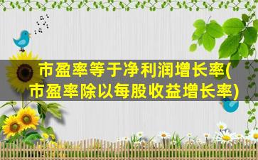 市盈率等于净利润增长率(市盈率除以每股收益增长率)-图1