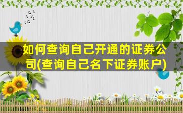 如何查询自己开通的证券公司(查询自己名下证券账户)-图1