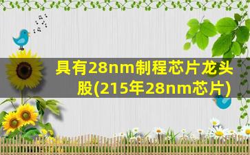 具有28nm制程芯片龙头股(215年28nm芯片)-图1