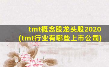 tmt概念股龙头股2020(tmt行业有哪些上市公司)-图1