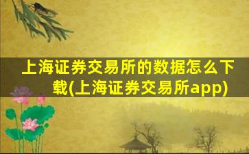 上海证券交易所的数据怎么下载(上海证券交易所app)-图1