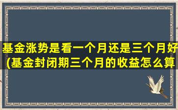 基金涨势是看一个月还是三个月好(基金封闭期三个月的收益怎么算)-图1