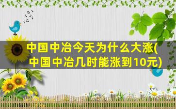 中国中冶今天为什么大涨(中国中冶几时能涨到10元)-图1