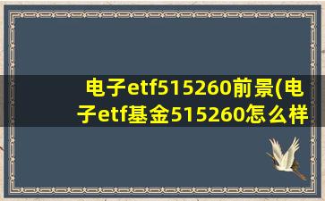 电子etf515260前景(电子etf基金515260怎么样)-图1