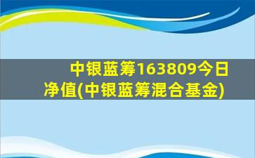 中银蓝筹163809今日净值(中银蓝筹混合基金)-图1