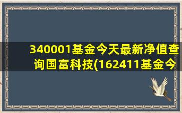 340001基金今天最新净值查询国富科技(162411基金今天净值)-图1