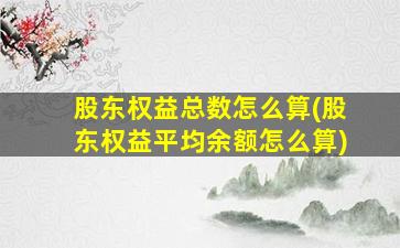 股东权益总数怎么算(股东权益平均余额怎么算)-图1