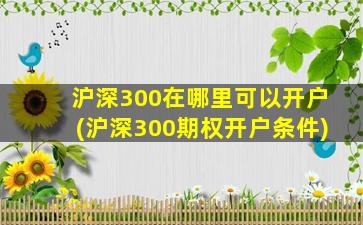 沪深300在哪里可以开户(沪深300期权开户条件)-图1