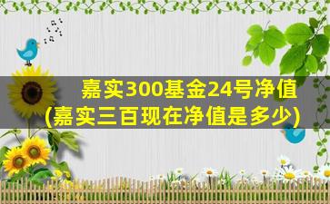 嘉实300基金24号净值(嘉实三百现在净值是多少)-图1