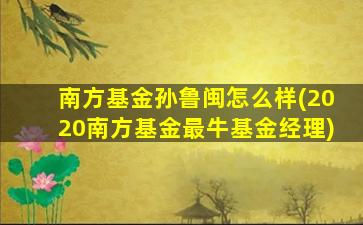 南方基金孙鲁闽怎么样(2020南方基金最牛基金经理)-图1