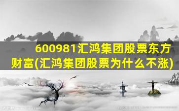 600981汇鸿集团股票东方财富(汇鸿集团股票为什么不涨)-图1