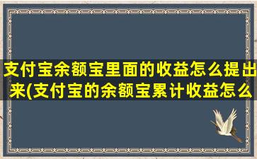 支付宝余额宝里面的收益怎么提出来(支付宝的余额宝累计收益怎么提出来)-图1