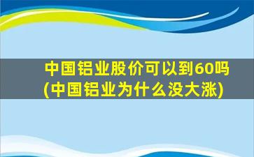 中国铝业股价可以到60吗(中国铝业为什么没大涨)-图1