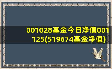 001028基金今日净值001125(519674基金净值)-图1