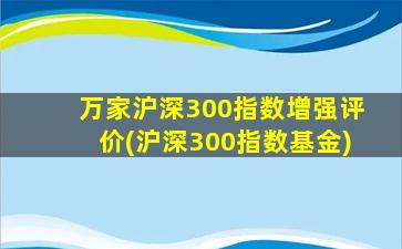 万家沪深300指数增强评价(沪深300指数基金)-图1