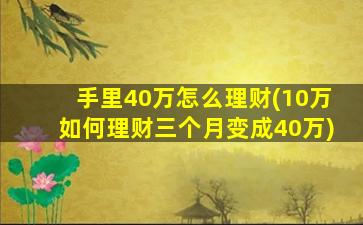 手里40万怎么理财(10万如何理财三个月变成40万)-图1