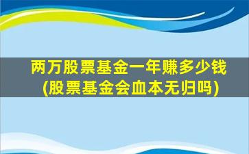 两万股票基金一年赚多少钱(股票基金会血本无归吗)-图1